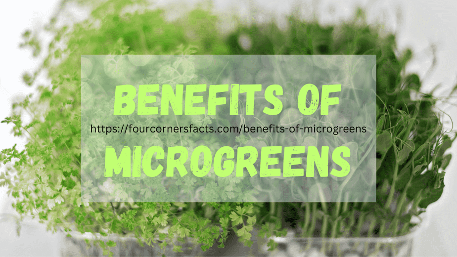 Benefits of Microgreens