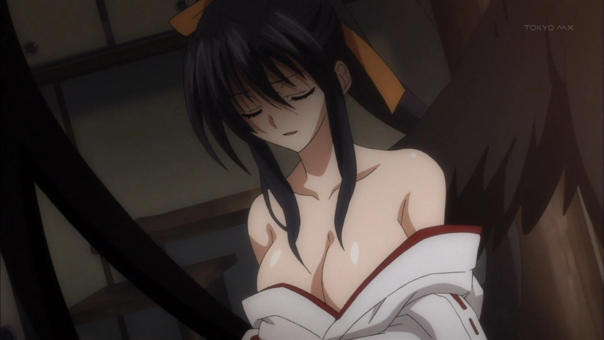 Akeno Himejima hottes girl from animated movies