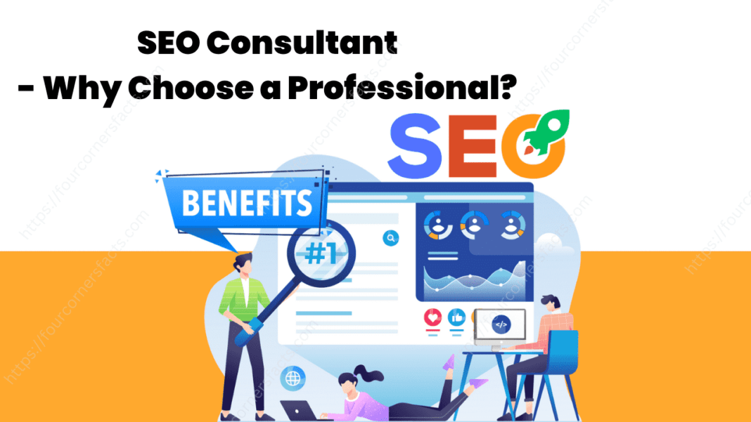 SEO Consultant - Why Choose a Professional?